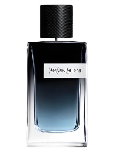Based on Yves Saint Laurent YSL Y EdP