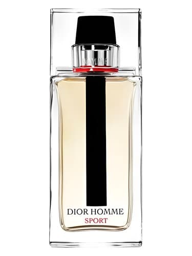 Based on Dior Dior Homme Sport 2017